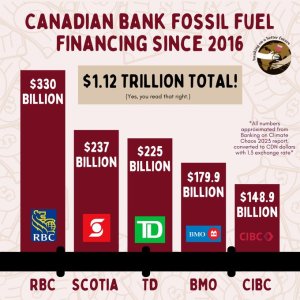 Canadian Bank Fossil Fuel Financing Since 2016

Bar graph shows financing for each bank.
RBC shows 336 billion
Scotia 237 billion
TD 225 billion
BMO 179.9 billion
CIBC 148.9 billion
